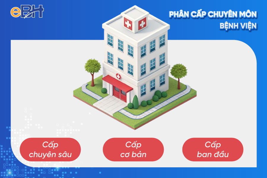 Phân cấp chuyên môn bệnh viện